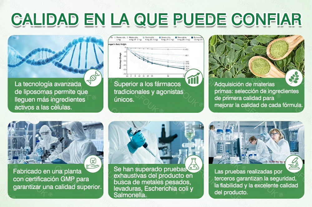 ✅GFOUK® Moringa · Berberina × NAD+Parche avanzado de microagujas nano 10 en 1 (Solo una vez al día, cambios visibles en 7 días)✅ Para la obesidad, piel flácida, diabetes, apnea del sueño, problemas articulares y más